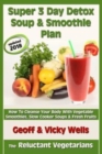 Super 3 Day Detox Soup & Smoothie Plan : How To Cleanse Your Body With Vegetable Smoothies, Slow Cooker Soups & Fresh Fruits - Book
