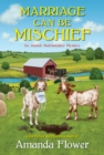 Marriage Can Be Mischief - eBook