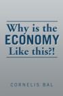 Why Is the Economy Like This?! - Book