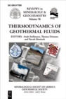 Thermodynamics of Geothermal Fluids - eBook