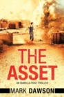 The Asset : Act II - Book