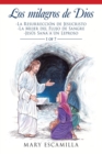 Los Milagros De Dios : -La Resurreccion De Jesucristo - La Mujer Del Flujo De Sangre - Jesus Sana a Un Leproso - Book