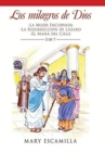 Los Milagros De Dios : -La Mujer Encorvada -La Resurreccion De Lazaro -El Mana Del Cielo - Book