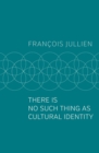 There Is No Such Thing as Cultural Identity - Book