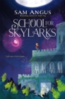 School for Skylarks - Book