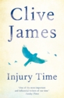 Injury Time - Book