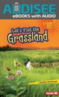 Let's Visit the Grassland - eBook