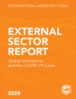 External sector report : global imbalances and the COVID-19 Crisis - Book