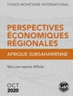 Regional Economic Outlook, October 2020, Sub-Saharan Africa (French Edition) : A Difficult Road to Recovery - Book