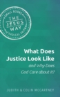 What Does Justice Look Like and Why Does God Care about It? - Book