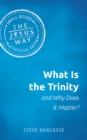 What is the Trinity and Why Does it Matter? - eBook