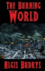 The Burning World - Book