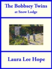 The Bobbsey Twins at Snow Lodge - eBook