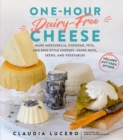 One-Hour Dairy-Free Cheese : Make Mozzarella, Cheddar, Feta, and Brie-Style Cheeses-Using Nuts, Seeds, and Vegetables - Book