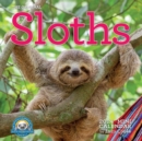 Original Sloths Mini Wall Calendar 2024 : Celebrate Life in the Slow Lane - Book