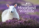 Villager Jim's Moorland Wildlife - eBook