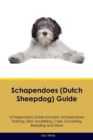 Schapendoes (Dutch Sheepdog) Guide Schapendoes Guide Includes : Schapendoes Training, Diet, Socializing, Care, Grooming, Breeding and More - Book