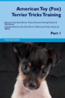 American Toy (Fox) Terrier Tricks Training American Toy (Fox) Terrier Tricks & Games Training Tracker & Workbook. Includes : American Toy (Fox) Terrier Multi-Level Tricks, Games & Agility. Part 1 - Book