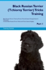 Black Russian Terrier (Tchiorny Terrier) Tricks Training Black Russian Terrier (Tchiorny Terrier) Tricks & Games Training Tracker & Workbook. Includes : Black Russian Terrier Multi-Level Tricks, Games - Book