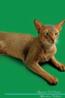 Abyssinian Cat Affirmations Workbook Abyssinian Cat Presents : Positive and Loving Affirmations Workbook. Includes: Mentoring Questions, Guidance, Supporting You. - Book