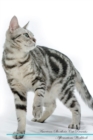 American Shorthair Cat Affirmations Workbook American Shorthair Cat Presents : Positive and Loving Affirmations Workbook. Includes: Mentoring Questions, Guidance, Supporting You. - Book