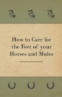 How to Care for the Feet of your Horses and Mules - Book