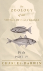 Fish - Part IV - The Zoology of the Voyage of H.M.S Beagle - Book