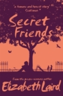 Secret Friends - Book