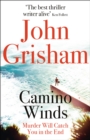 Camino Winds : The Ultimate  Murder Mystery from the Greatest Thriller Writer Alive - Book