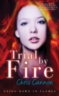 Trial By Fire - Book