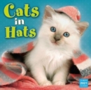 CATS IN HATS SQUARE WALL CALENDAR 2021 - Book