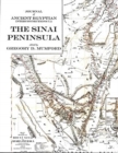 The Sinai Peninsula - Book