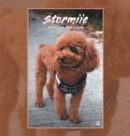 Stormiie : Based on a True Story - Book