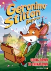 Geronimo Stilton Reporter Vol. 7 : Going Down to Chinatown - Book