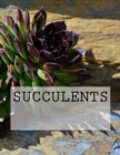 Succulents - Book