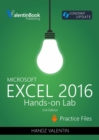 Excel 2016 Hands-On Lab - eBook