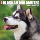 Just Alaskan Malamutes 2024 12 X 12 Wall Calendar - Book