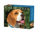 Beagles 2024 6.2 X 5.4 Box Calendar - Book