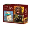 Labs 2024 6.2 X 5.4 Box Calendar - Book