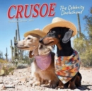Crusoe the Celebrity Dachshund 2024 7 X 7 Mini Wall Calendar - Book