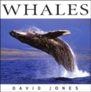 Whales - Book