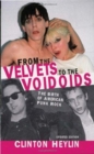 From the "Velvets" to the "Voidoids" : The Birth of American Punk Rock - Book