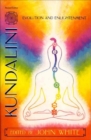 Kundalini, Evolution and Enlightenment - Book