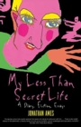 My Less Than Secret Life : A Diary, Fiction, Essays - Book