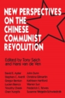 New Perspectives on the Chinese Revolution - Book