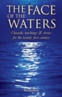 The Face of the Waters : Chasidic teachings & stories for the twenty-first century - Book