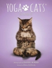 Yoga Cats Deck and Book Set - Book