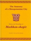 The Anatomy of a Mesopotamian City : Survey and Soundings at Mashkan-shapir - Book