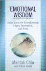 Emotional Wisdom : Daily Tools for Transforming Anger, Depression, and Fear - Book