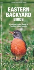 Eastern Backyard Birds : A Folding Pocket Guide to Familiar Urban Species - Book